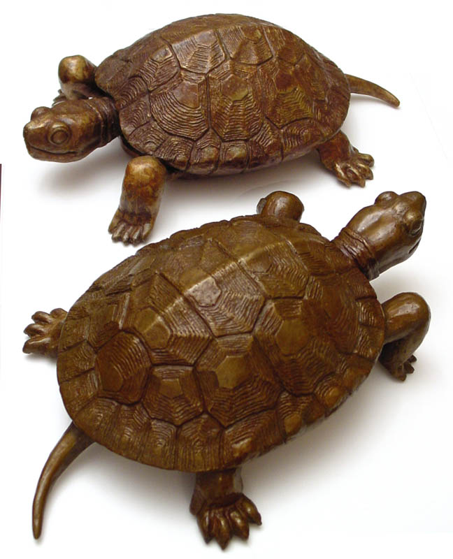 2 turtles