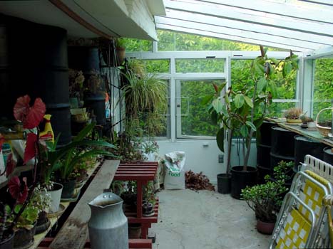greenhouse from entrance