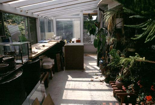 greenhouse-west view