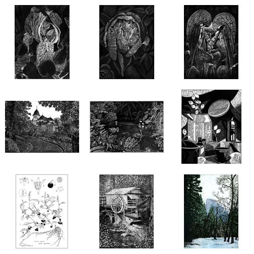 contact sheet-prints